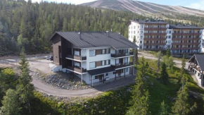 Villa Ylläs 102, Ylläsjärvi